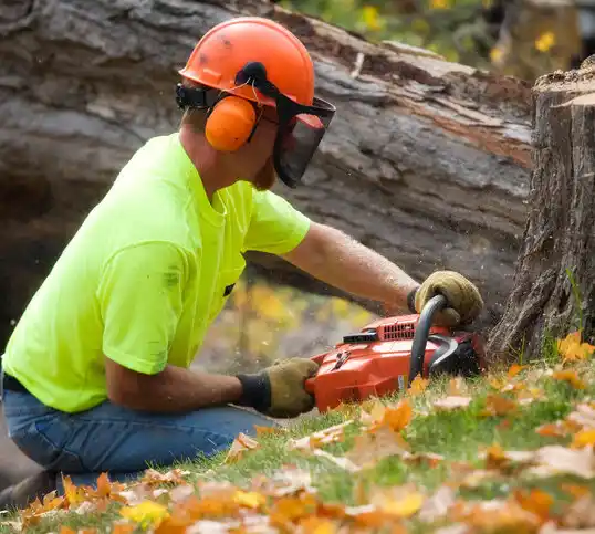 tree services Viola